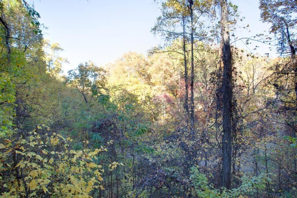 Brave Eagle Cabin Sevierville Bilik gambar
